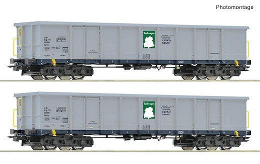 2-tlg. Set: Offene Güterwagen, Tankwagon, Privatbahn