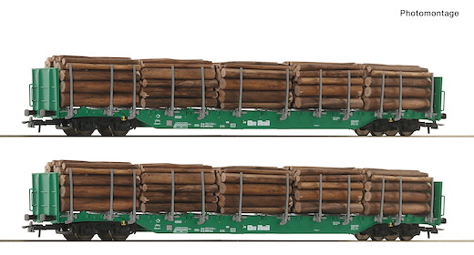 2-tlg. Set: Rungenwagen, OnRail, Privatbahn