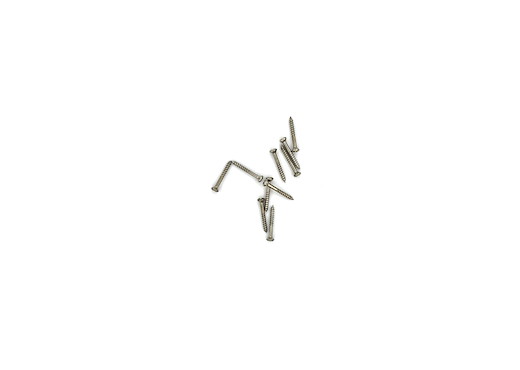 Linsenschraube 2x16  10 St