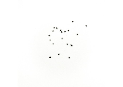 Zylinderschraube M1x2   10 St