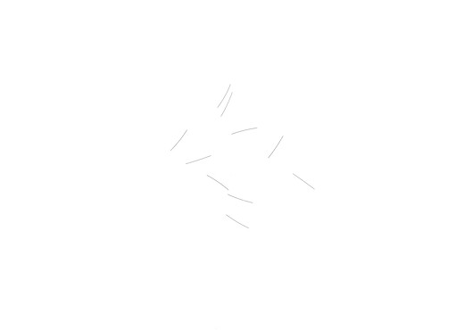 Federstab 0,12x13,6 (10 St)