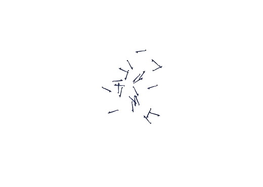 Runge blau 24 Stk.