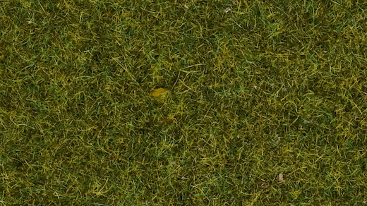 Streugras Wiese, 4 mm, 20g