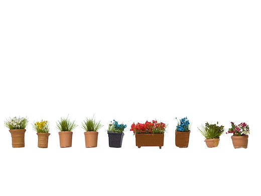 L-C N Blumen in kl. Blumentöpfen