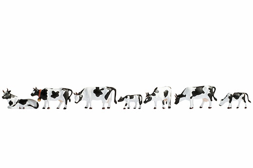 Kühe, schwarz-weiss