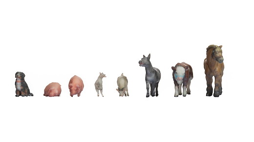 Tiere auf dem Bauernhof, 3D-Farbdruck